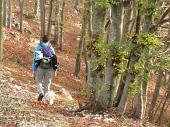 PASSEGGIATA SUL MONTE TESORO 10 ottobre 2010 - FOTOGALLERY